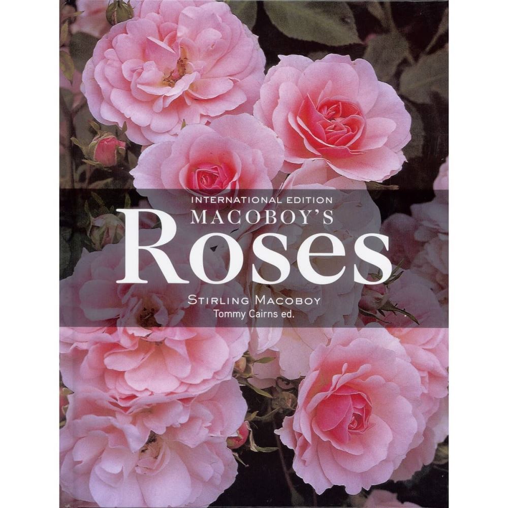 Macoboy's Roses by Stirling Macoboy